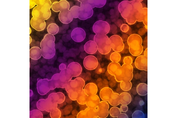 Image Bacterial Cell enzyme biology